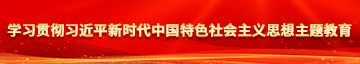 操逼视频嗯啊学习贯彻习近平新时代中国特色社会主义思想主题教育