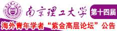 硅胶美女桶坤巴南京理工大学第十四届海外青年学者紫金论坛诚邀海内外英才！